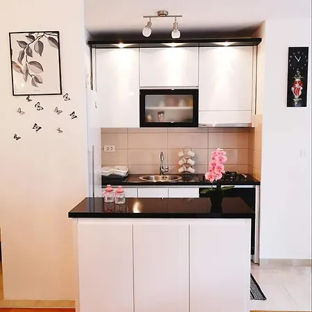 Apartman Bacinka Baćina